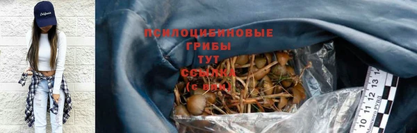 спайс Ельня