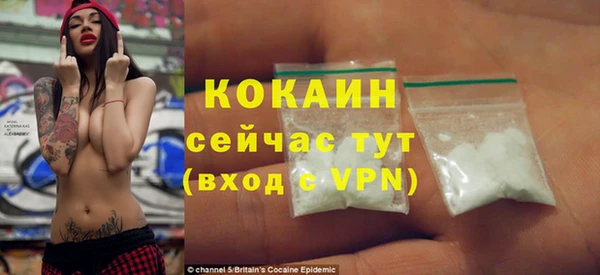 спайс Ельня