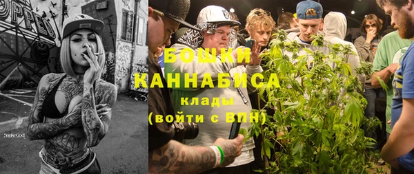спайс Ельня