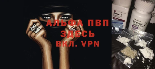 спайс Ельня
