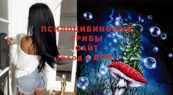 мескалин Елизово