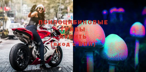 мескалин Елизово