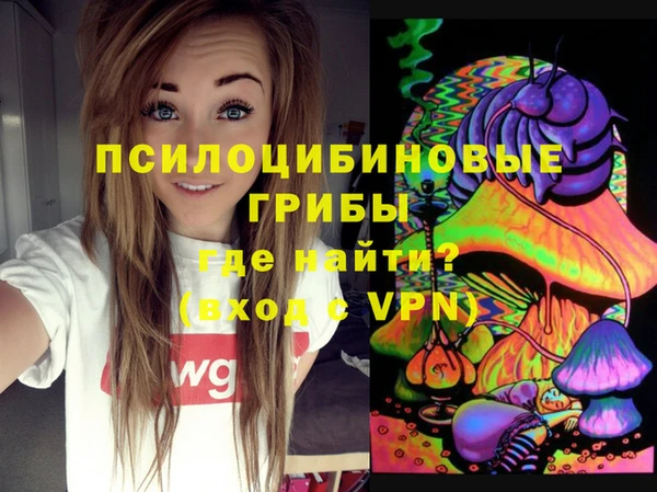 спайс Ельня